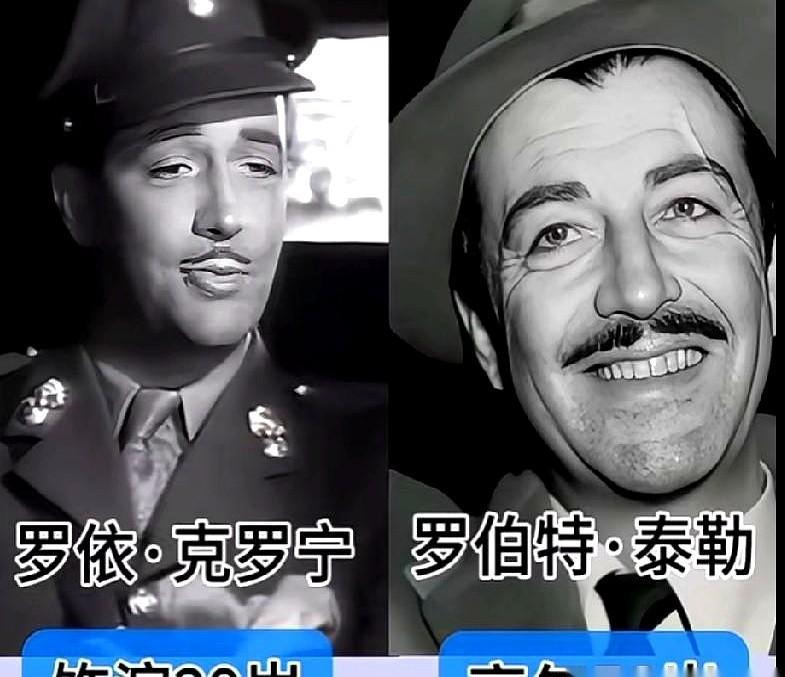 滑铁卢桥下，车灯又亮了。
这次不是电影，是真的人，真的眼泪，真没回来的人。
费雯