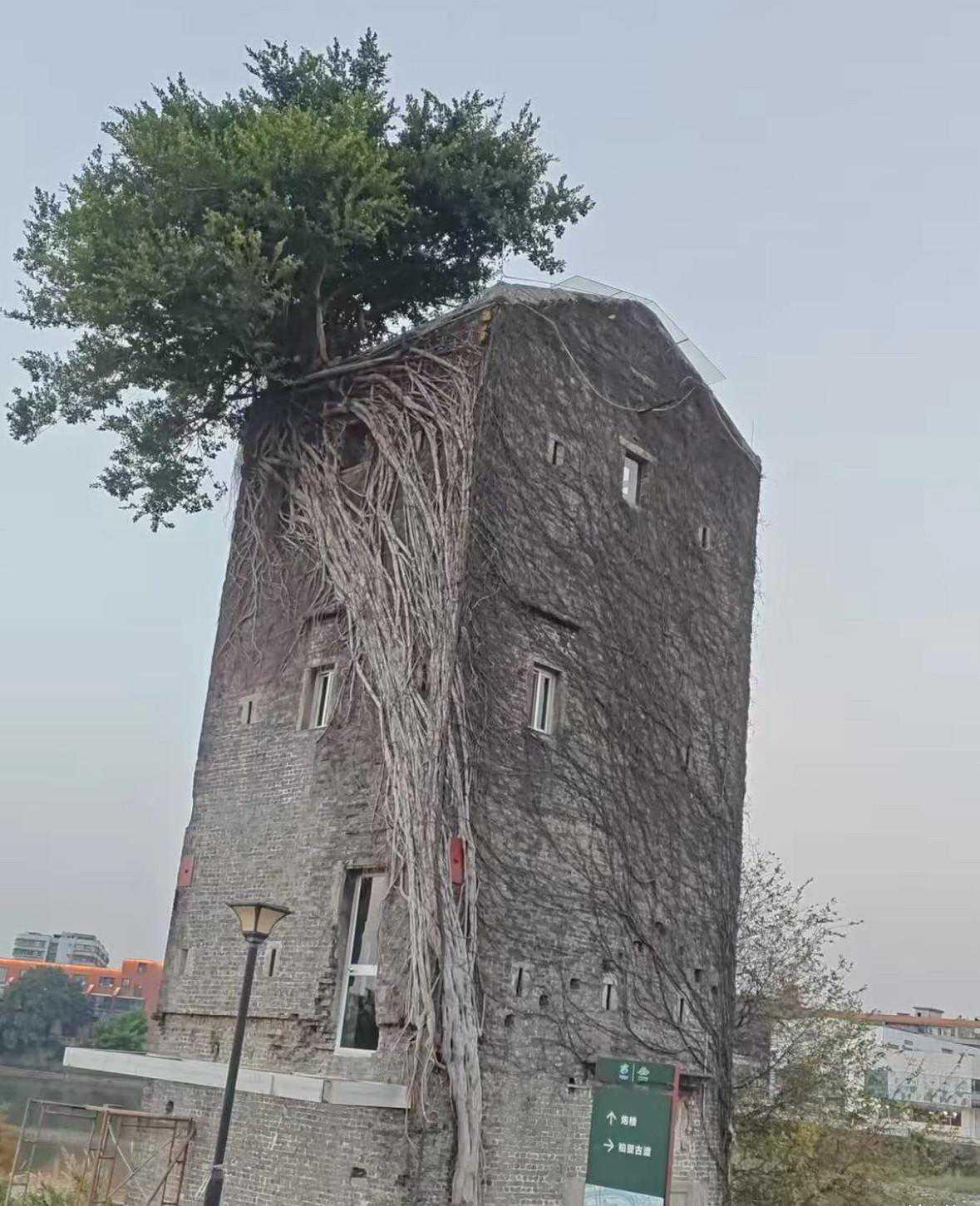 这么小的一间房，租金30w一年贵不贵？