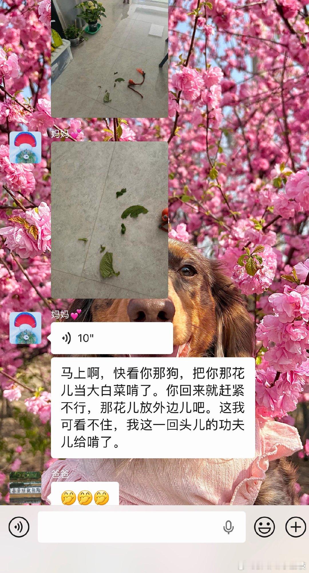 就一天没在家 最担心的事发生了