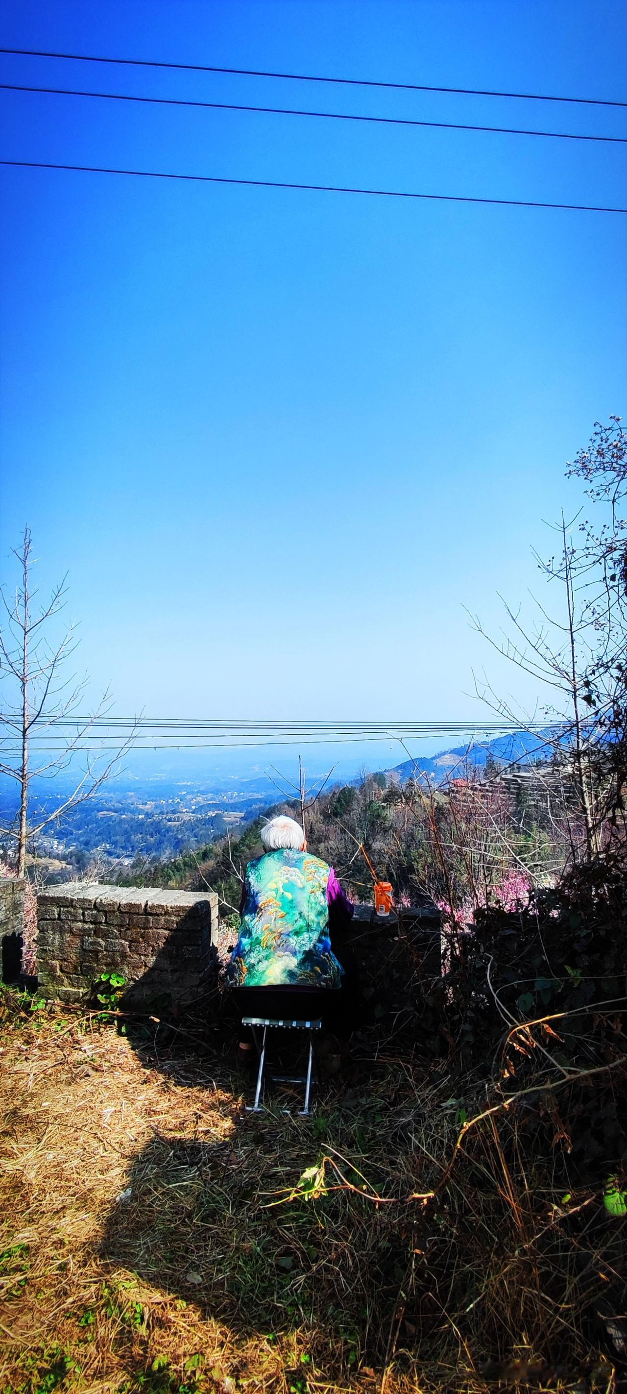 春节遛弯好去处春光乍泄，梅林成海。人心小鹿乱撞，急不可耐的赶走寒冬，看一看太阳，