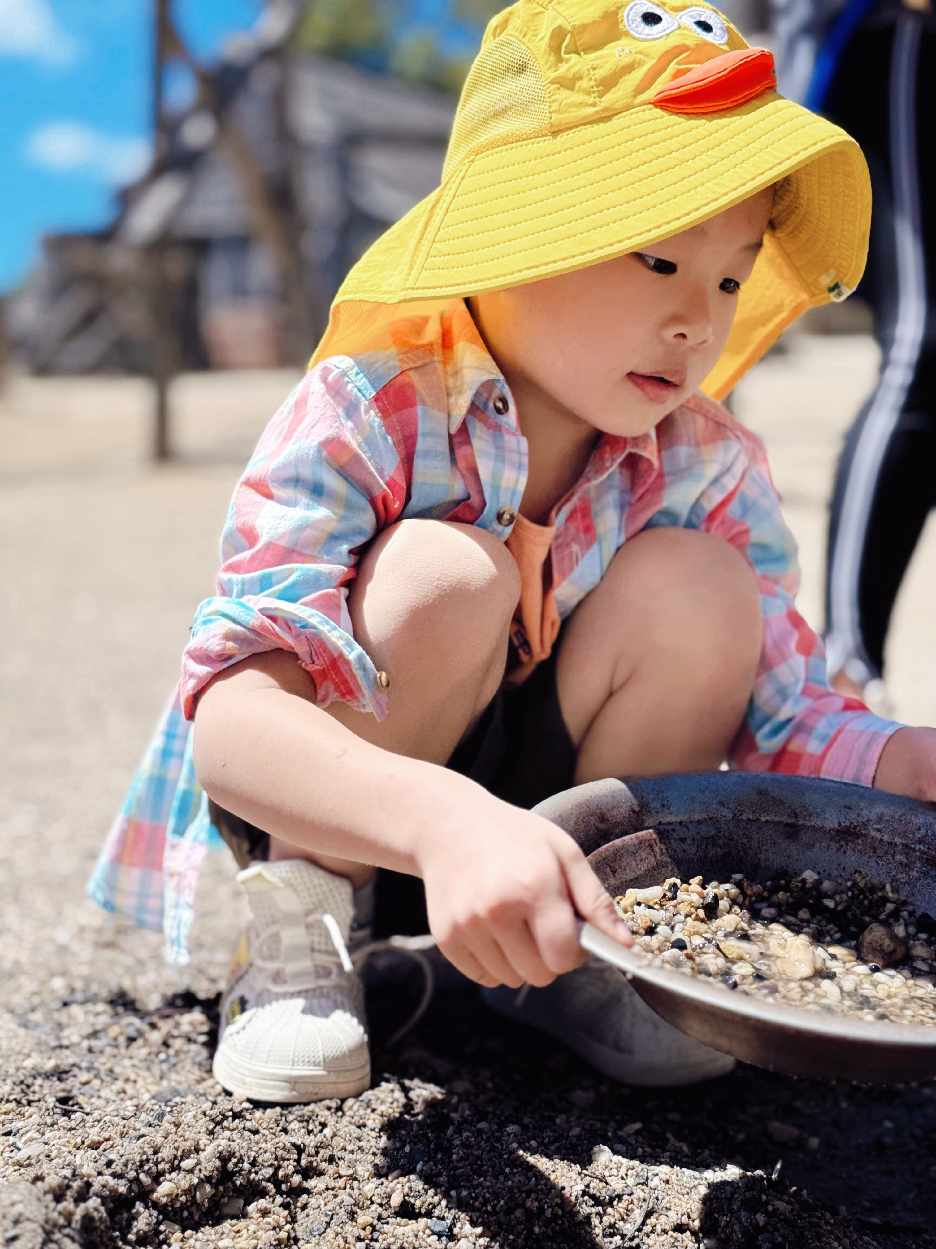 跟大家分享一下昨天淘金的结果[吃瓜]澳洲旅行日记：⭐小河里的金子是真的捞不着，但