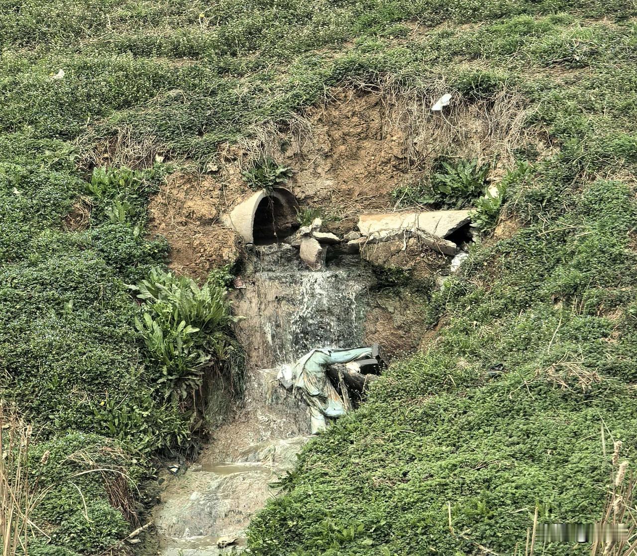 2026年3月18日，有叶县市民途径位于叶县九龙街道昆水路北侧的昆阳中学（新校区