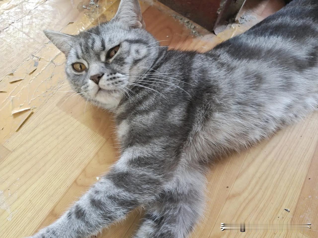猛然坐起！三十六？我也三十六了[捂脸]。吓死我了！可仔细一想，我没结婚，没成家，
