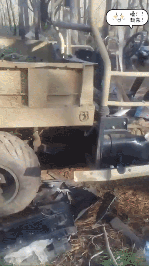 其实很正常，在第聂伯河旁边，赫尔松左岸克林基村附近树林，俄军刚装备的2辆“Des