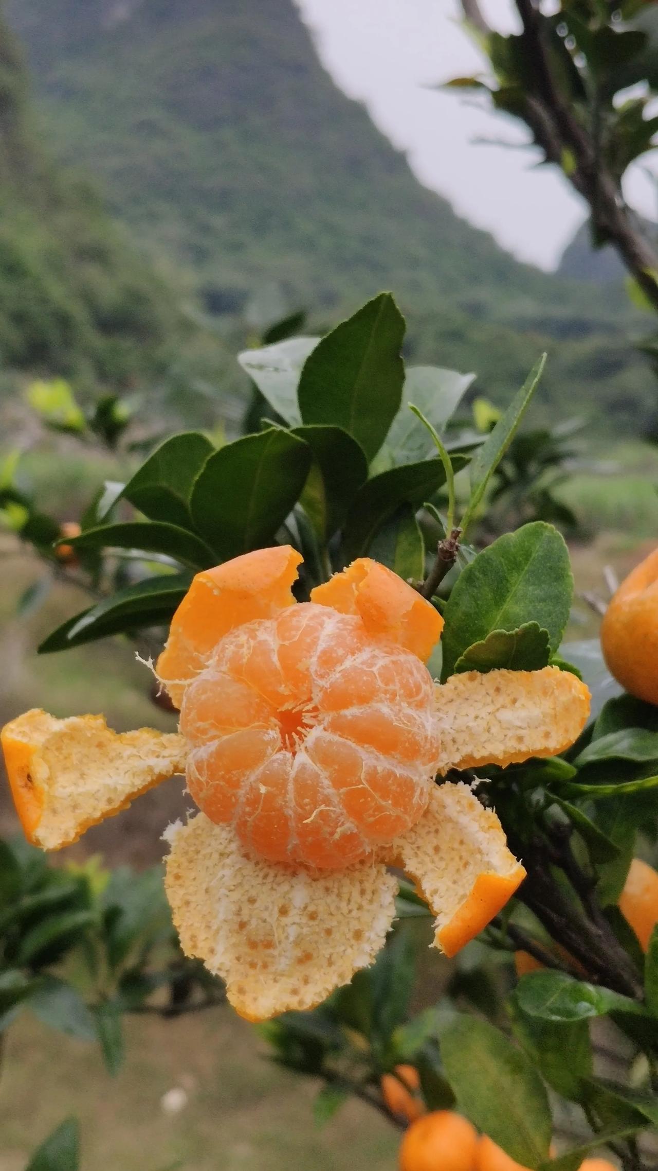 嗨大家好我是两百亿两千亿妈妈，因为全职在家六年带娃，没有工作收入平时就会感觉到比