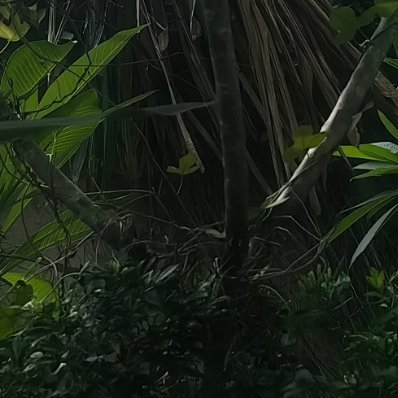 每日一善 今天撒下的种子，正在你看不见、想不到的某处，悄悄地生根发芽。 