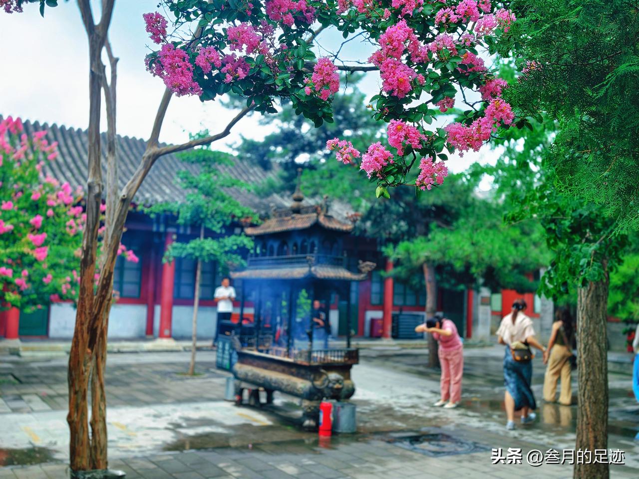 雨后清晨，京城清凉如水，寻一处清幽，去往全真第一丛林白云观，赴一场紫薇之约。
