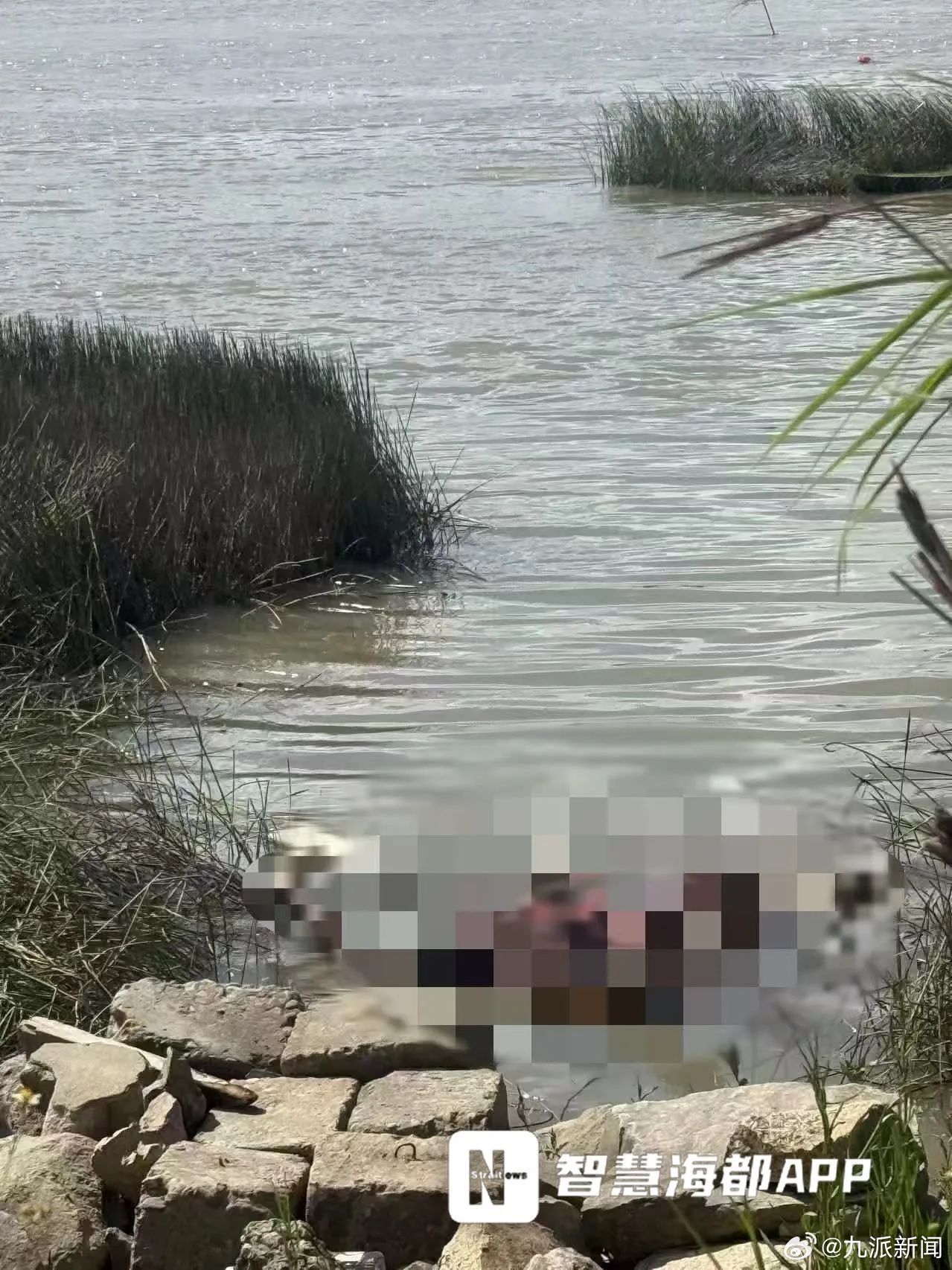 #男子江边洗澡被浪花卷入遗体找到#【#男子江边洗澡被浪花卷入家属发声#：在闽江下