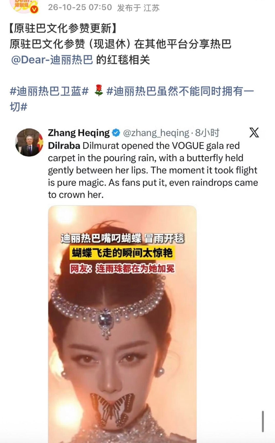 原驻巴文化参赞（现退休）在其他平台分享热巴在vogue盛典的视频，看得出来热巴这