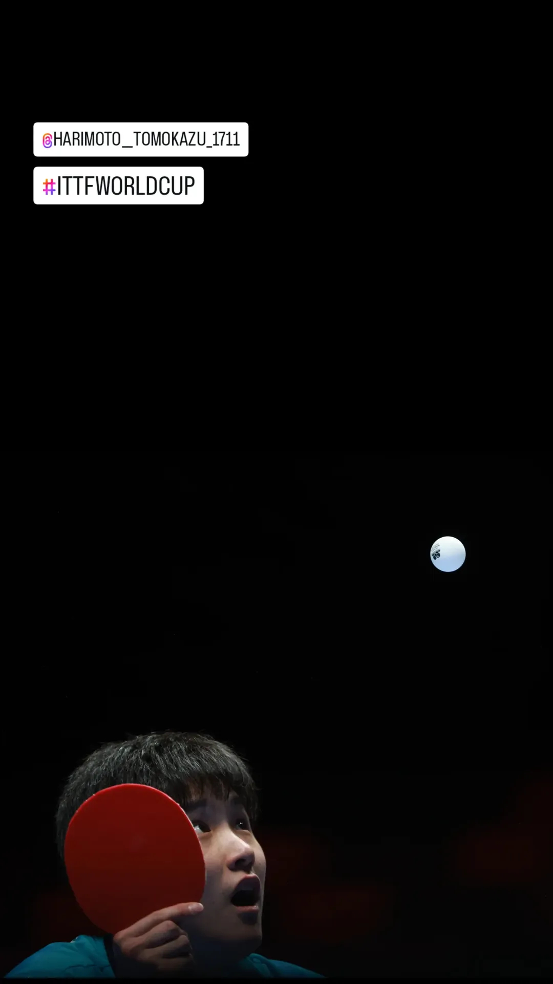 张本智和张本智和2026澳门乒乓球世界杯 男单小组赛第一轮图片📷P1: cr.