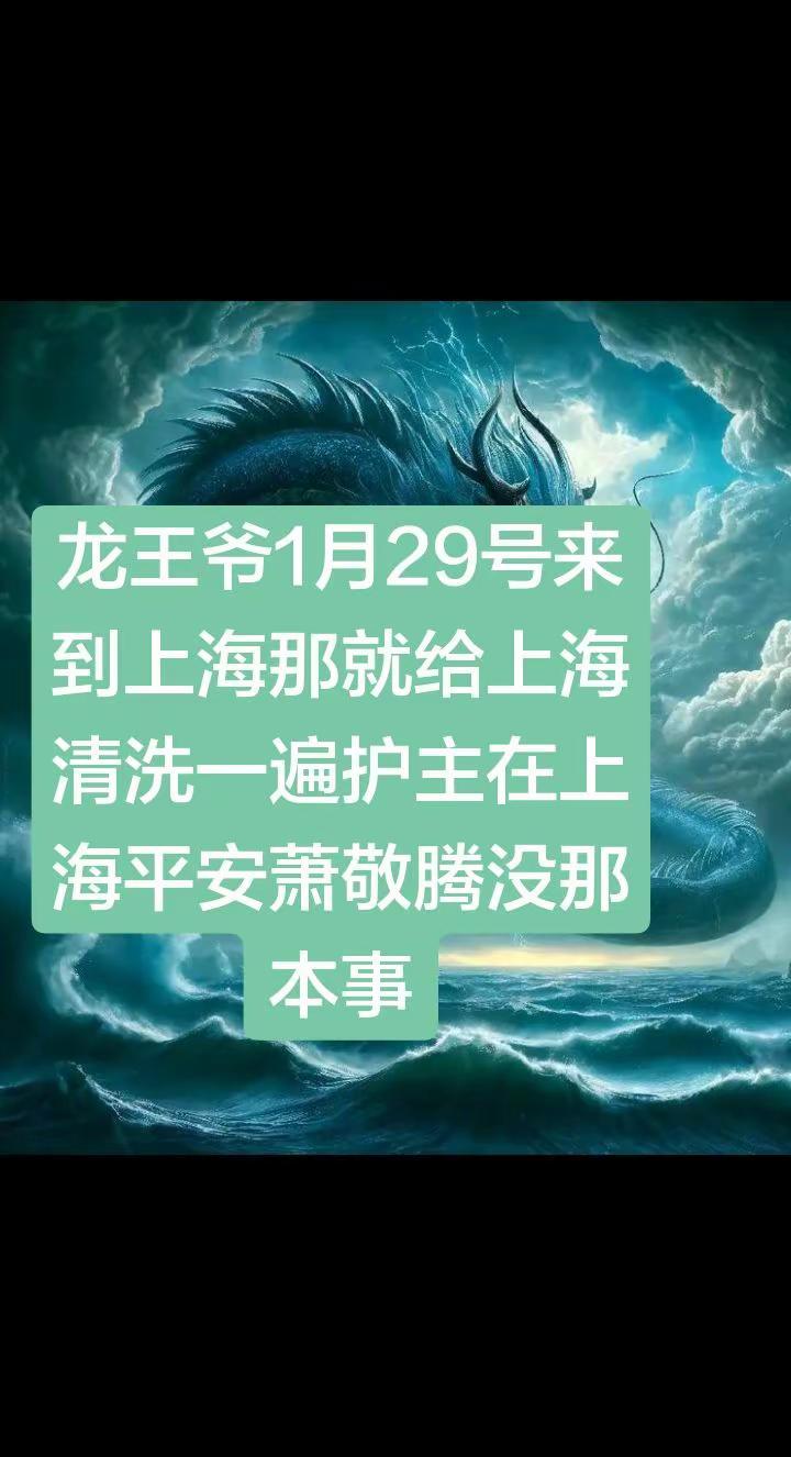 真龙🐉现上海