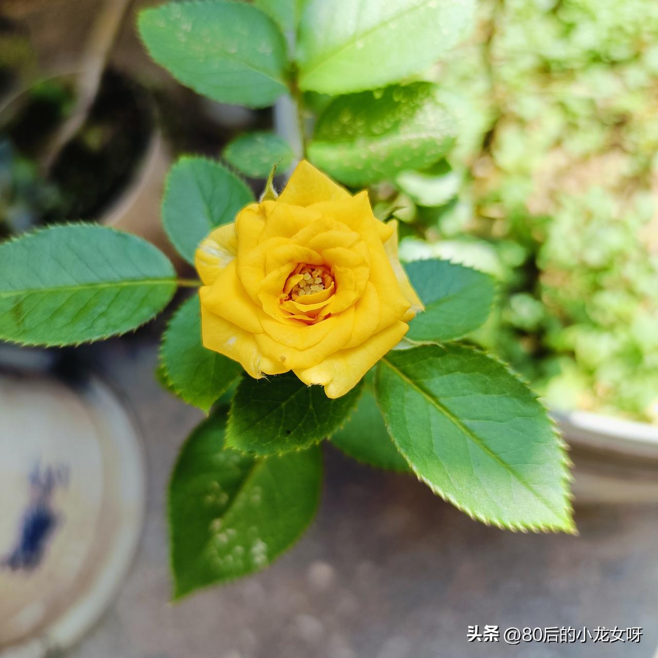 这样的男人嘴里说的再爱你，都不是真爱，那是一种禁锢。

我妹最近休年假，想带着孩