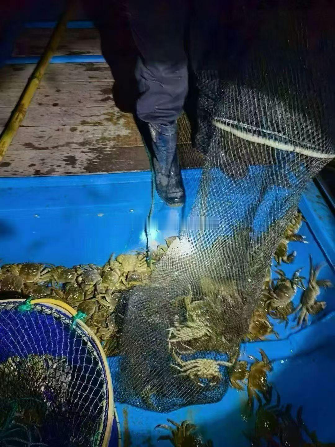 阳澄湖大闸蟹 如果你想买大闸蟹，还是阳澄湖大闸蟹，欢迎找我，给我一次机会，让事实