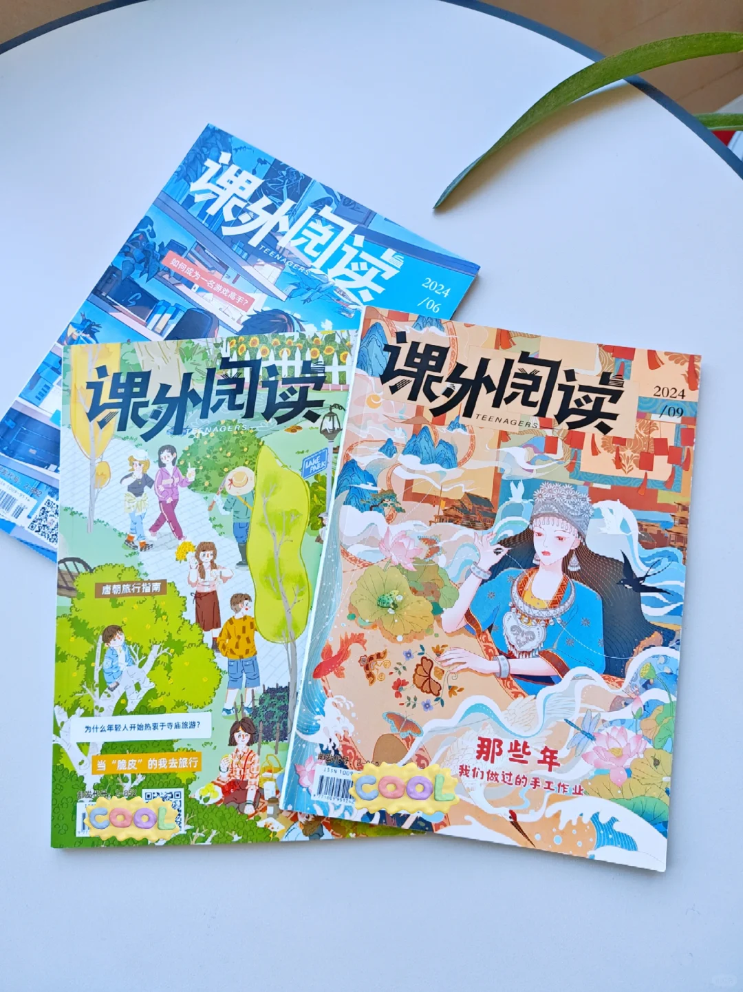 小学生的课外阅读期刊，这一套还蛮好的