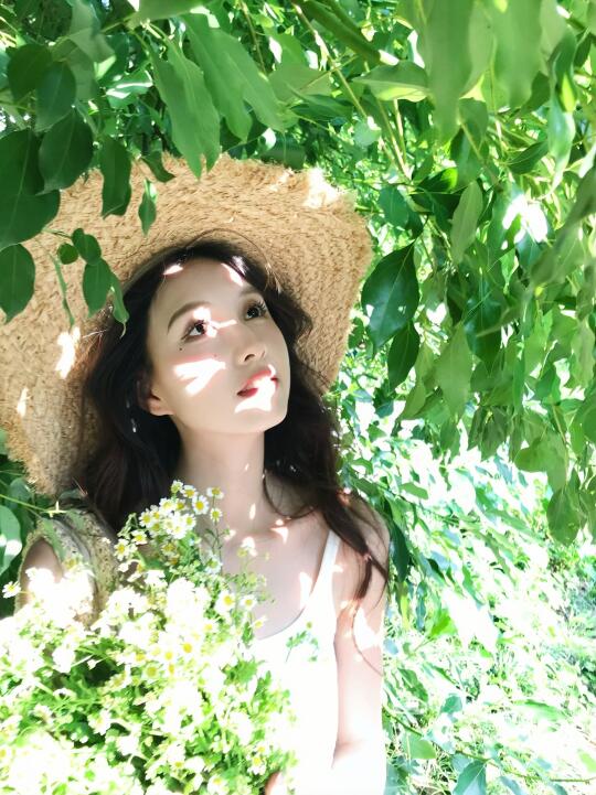 Live | 绿意 氧气 夏日下午4.30的光影🌿