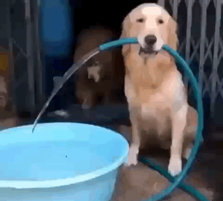 伺候大佬洗澡[doge][doge]