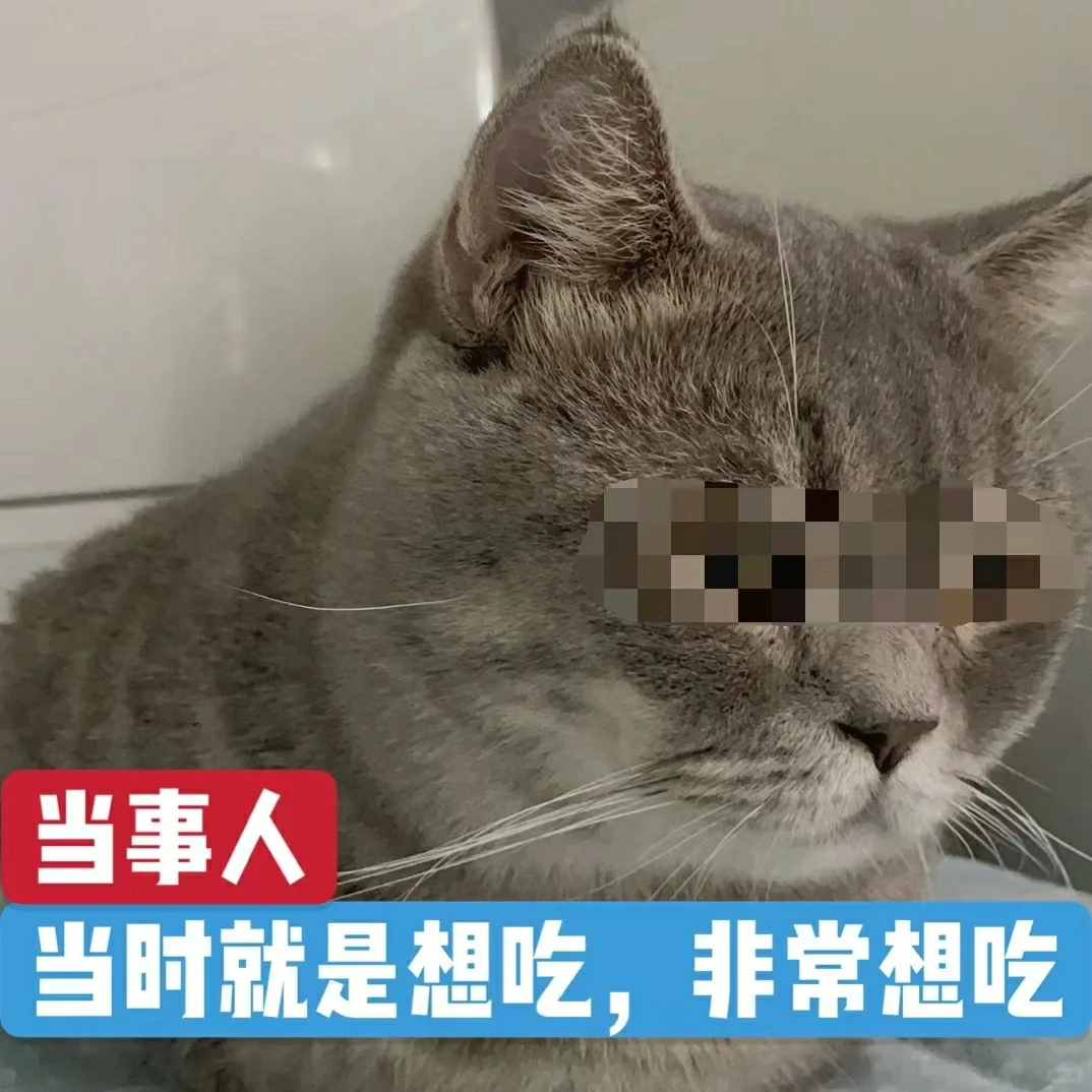 字节跳动100元标餐的免费三餐 工作三个月涨了10斤[苦涩]  