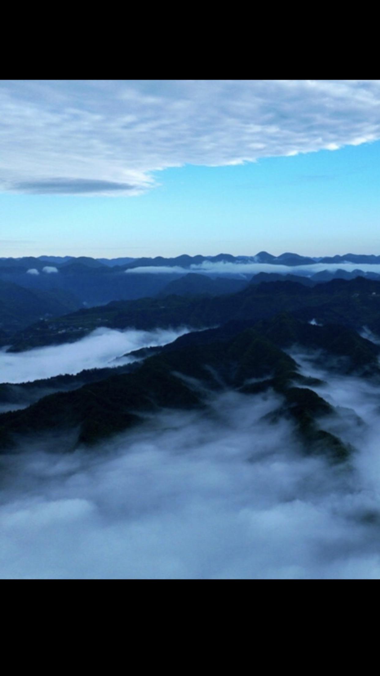 高金素梅的统派立场旗帜鲜明、行动坚定，是岛内统派力量的重要代表。她公开主张两岸同