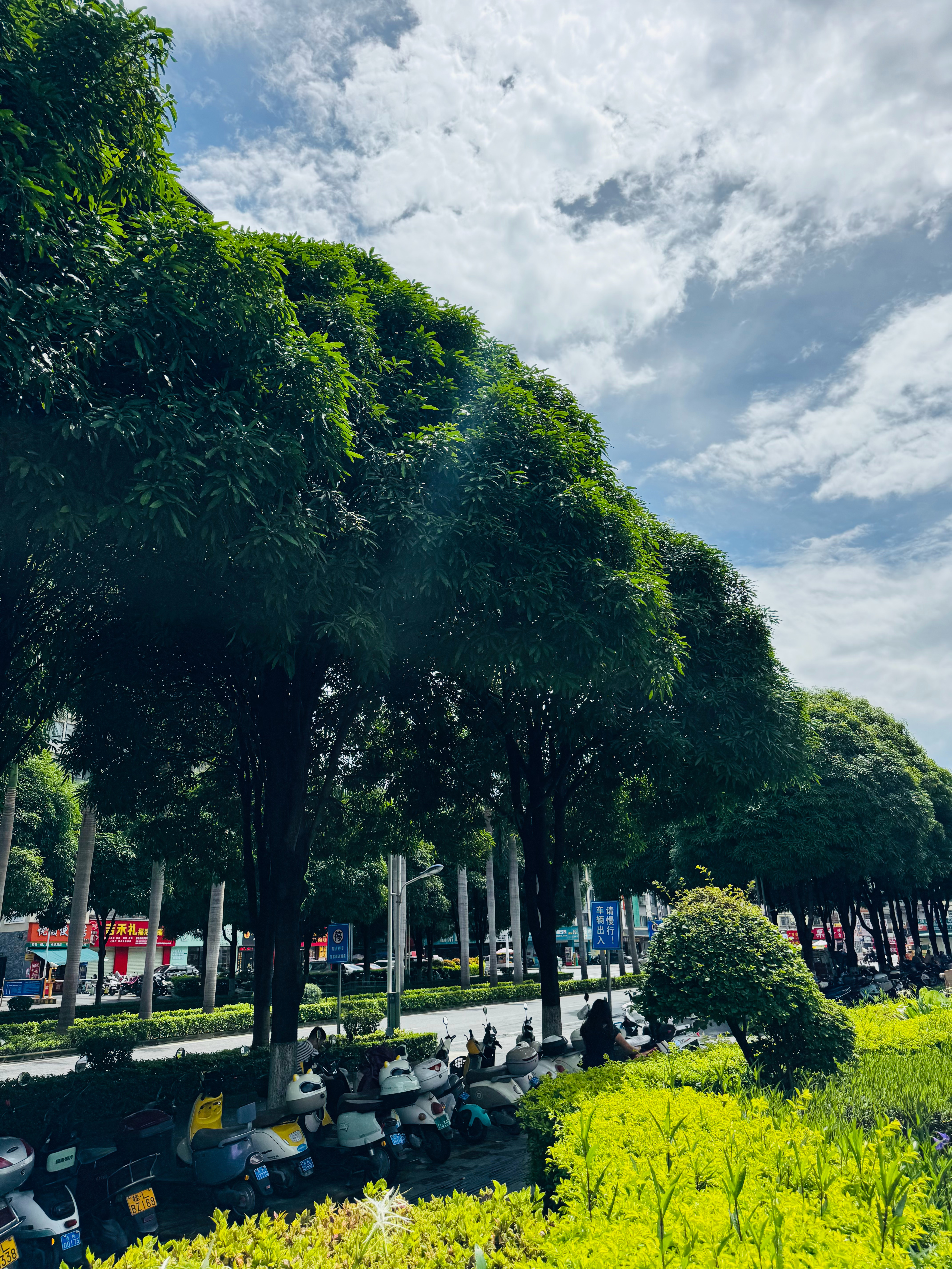 原本的广西之行，因为特大暴雨，让我临时改变主意，一路向西到达百色，终于躲过了台风