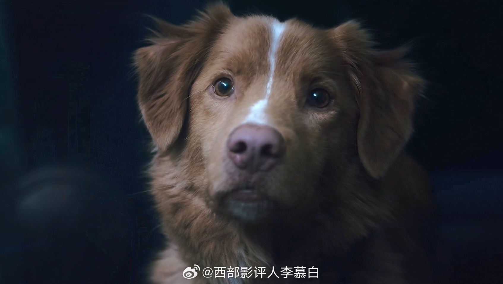 奥斯卡 颁奖季怪事年年有，今年最奇怪的莫过于阿斯特拉电影奖（Astra Film