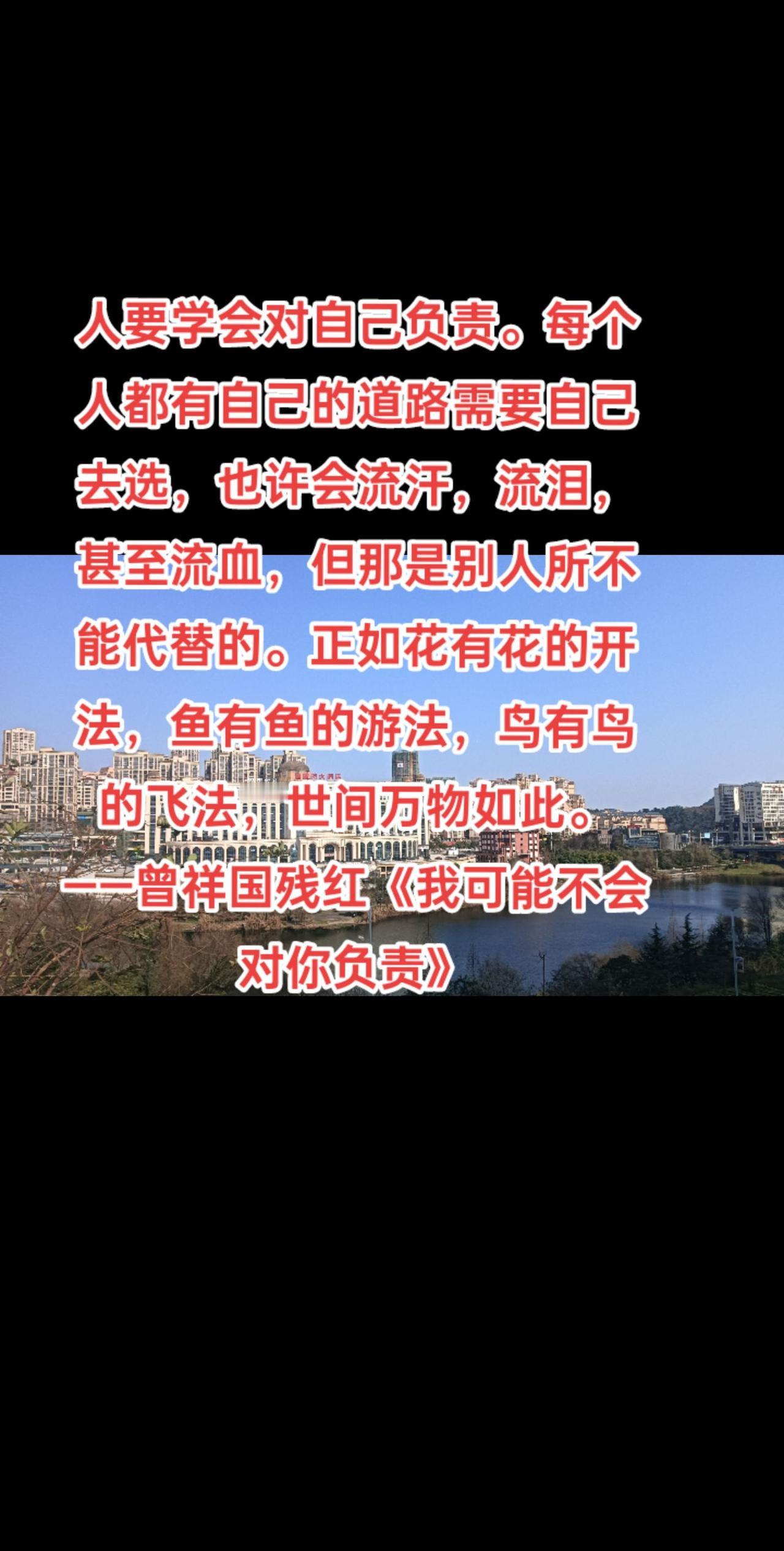 人要学会对自己负责。每个人都有自己的道路需要自己去选，也许会流汗，流泪，甚至流血