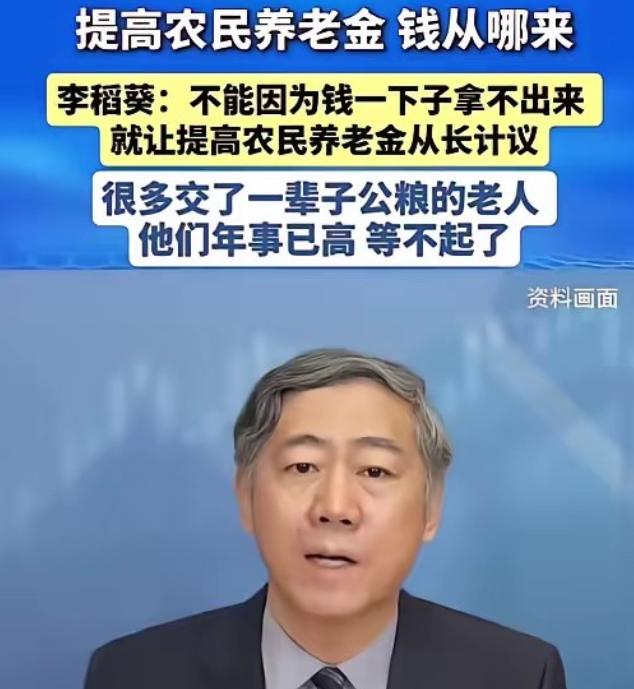 清华大学李稻葵：“不能因为钱一下子拿不出来，就让提高农民养老金从长计议，很多交了