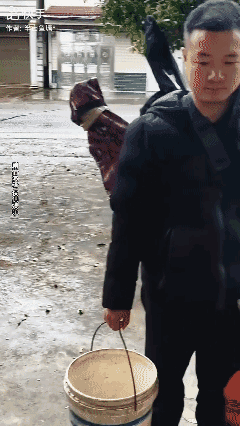 当钓鱼🎣大师空桶而归的时候…[泣不成声]