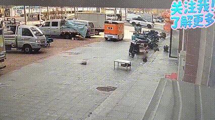 我就问问大家，这事儿到底谁负责。
网友近日上传了这么一段视频：狗子小黄在街上睡觉