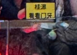桂源看看门牙哈哈哈哈哈 