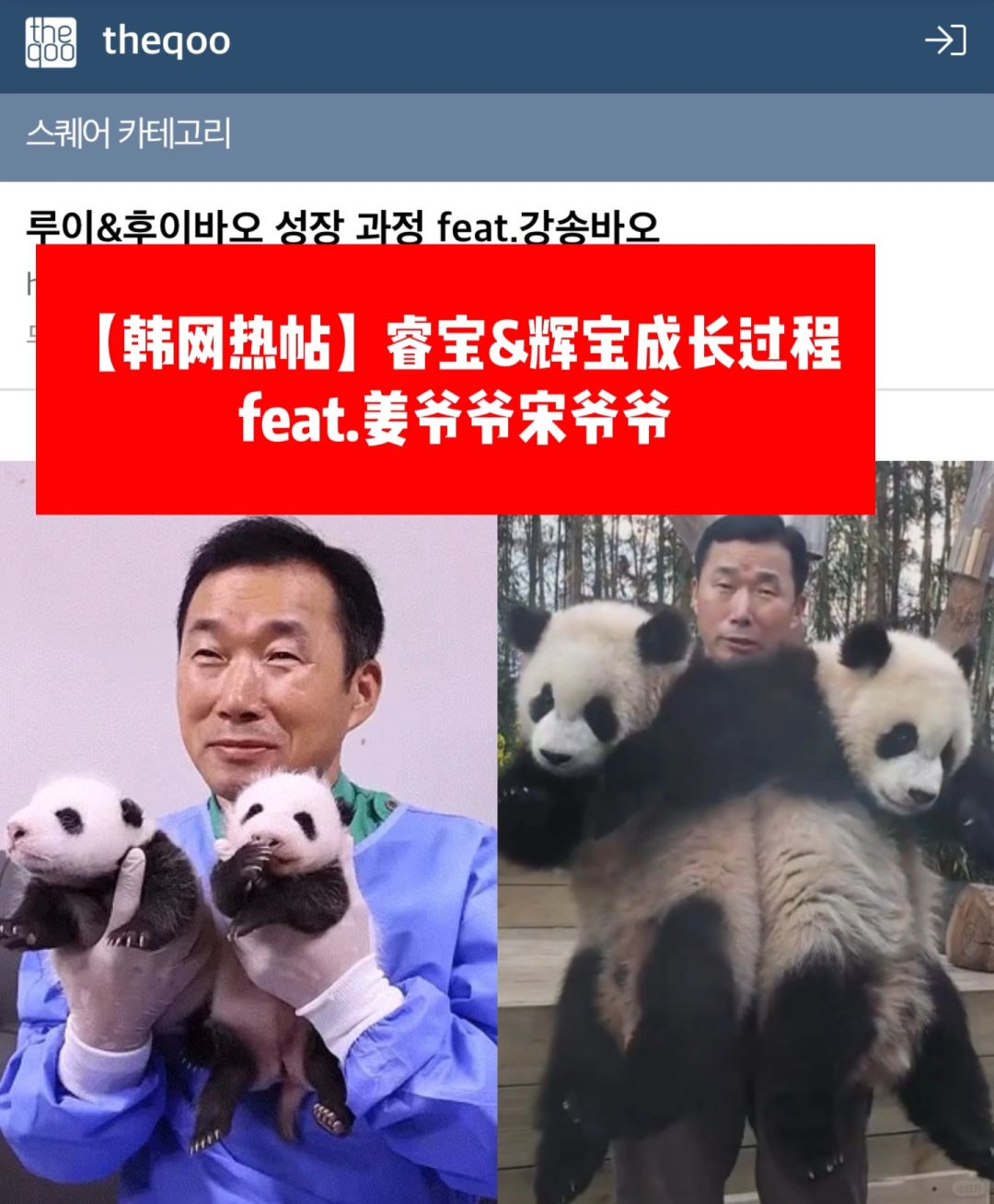 🔥韩网热帖｜睿宝&辉宝成长过程feat宋姜爷爷