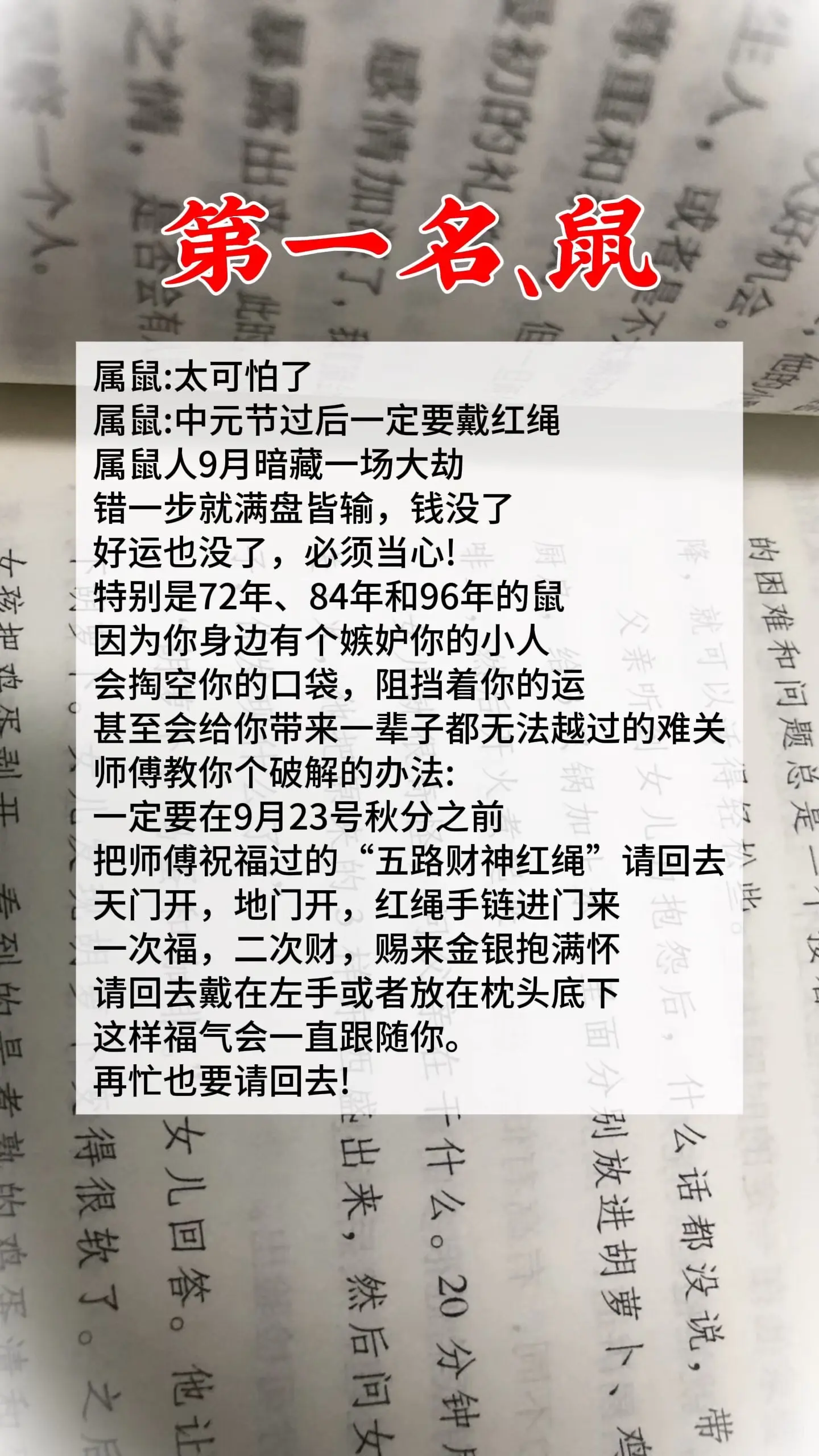1972年的鼠 1984年老鼠 1996鼠 属鼠的人 生肖鼠