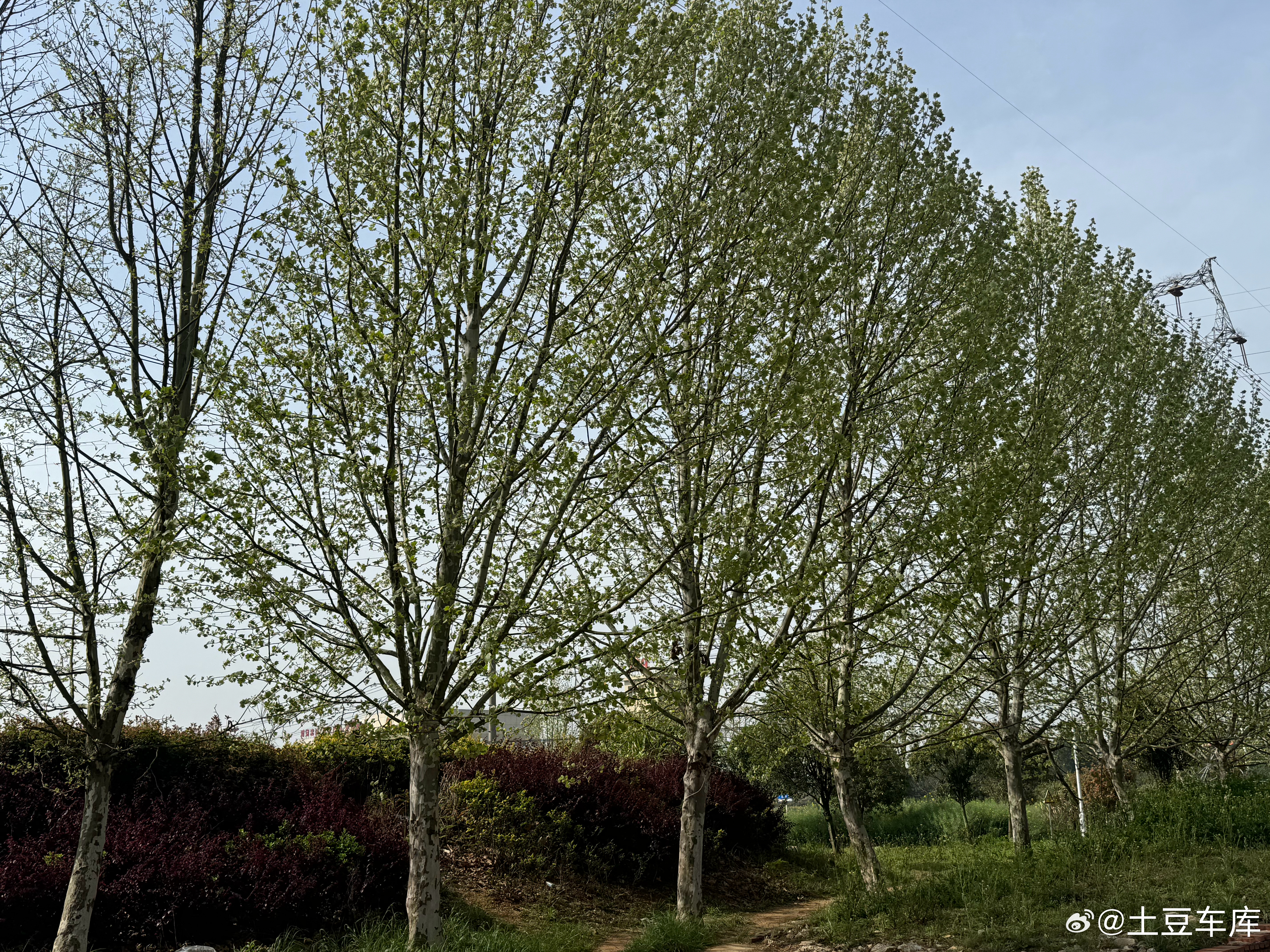 其实在小县城生活 真的太惬意了难怪近几年 很多年轻人安安稳稳待在县城过日子才是藏