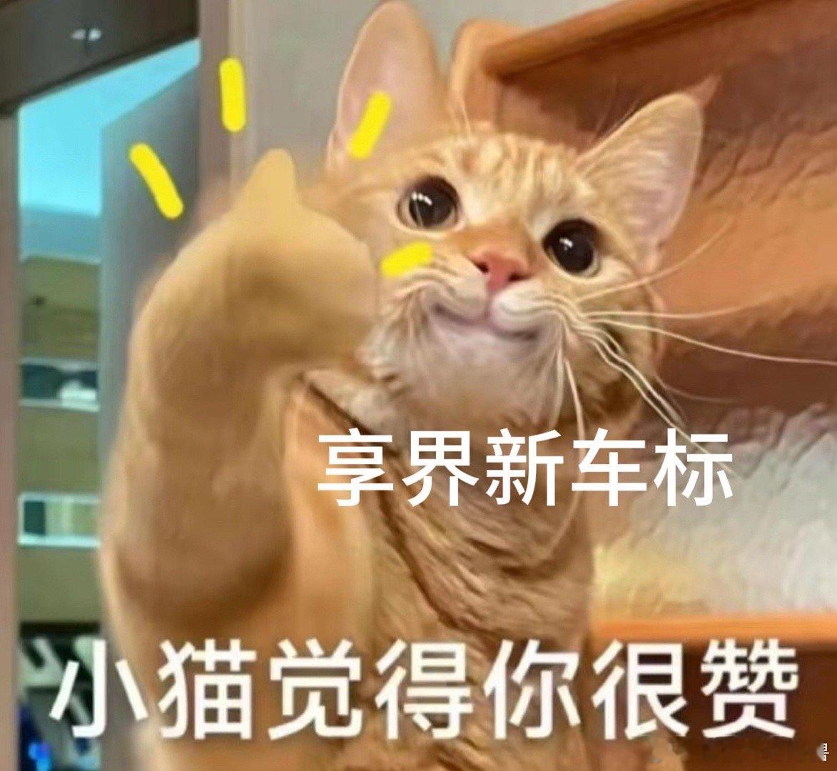 余承东张建勇发布享界新标 我嘞个豆！这波星型车标的工艺真的在大气层！不仅采用微米