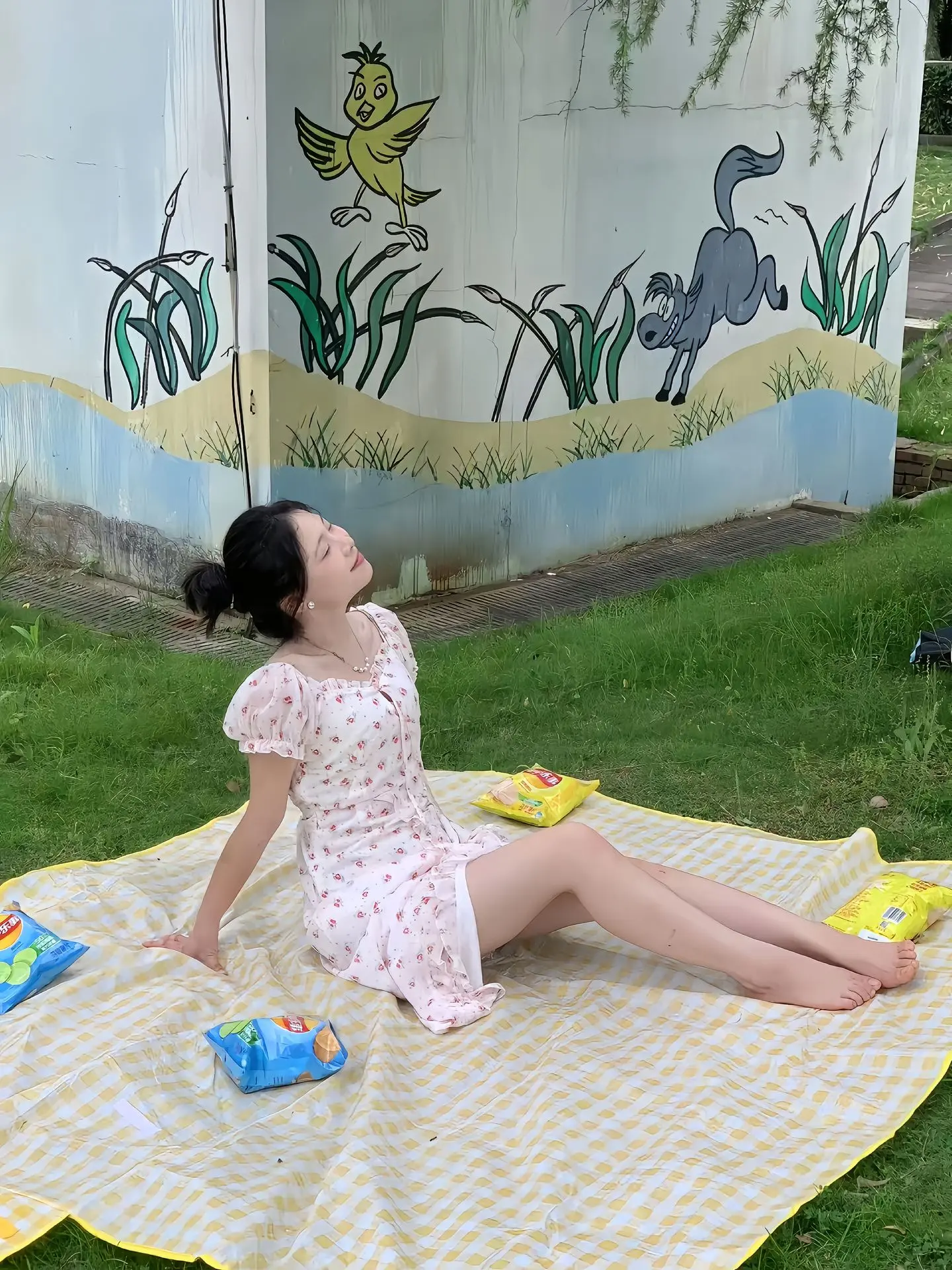 大龄剩女 解盘侠
