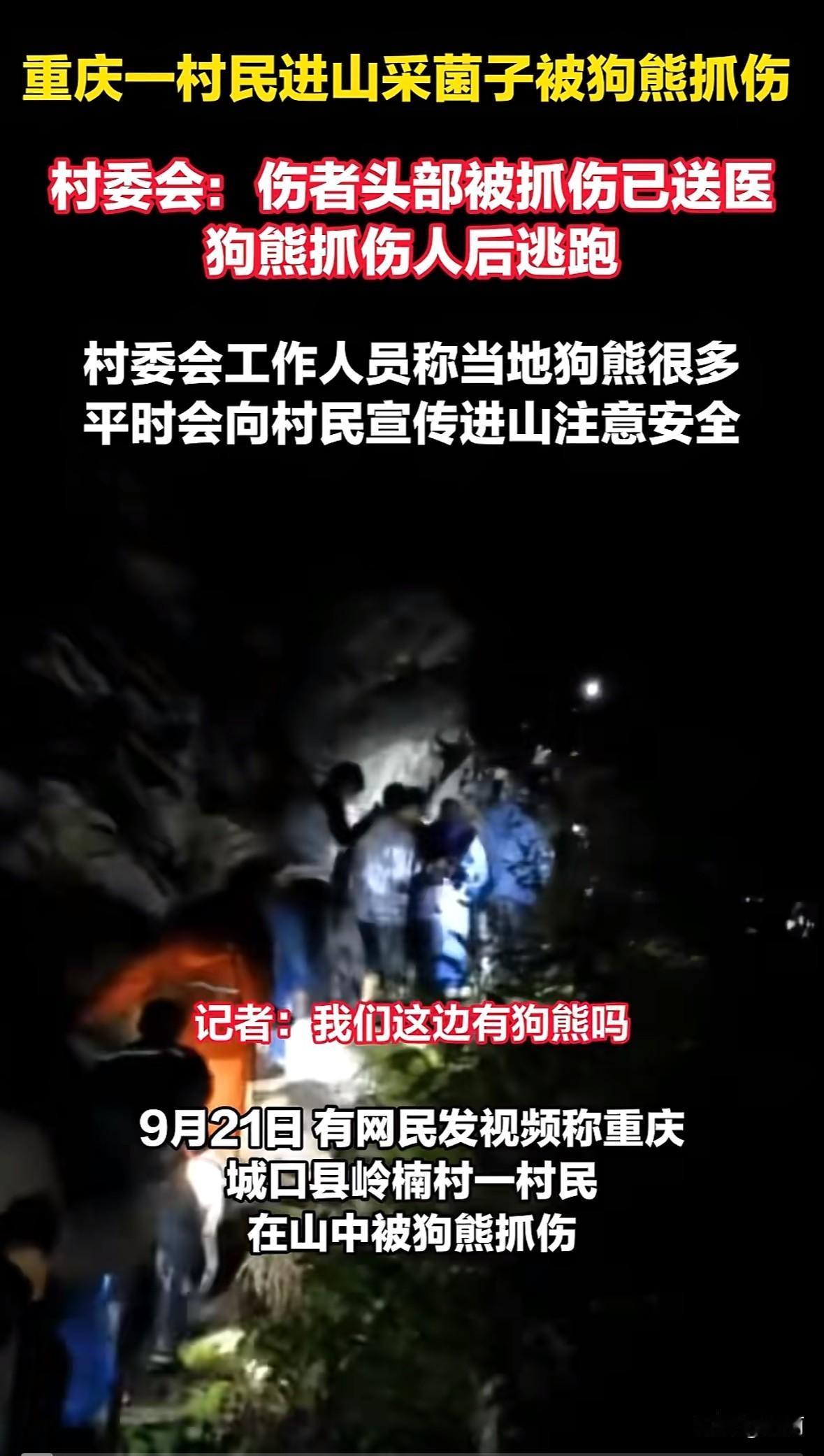 家人们，2025年9月20日晚，重庆城口县岭楠村出大事啦！一村民进山采菌子，竟被