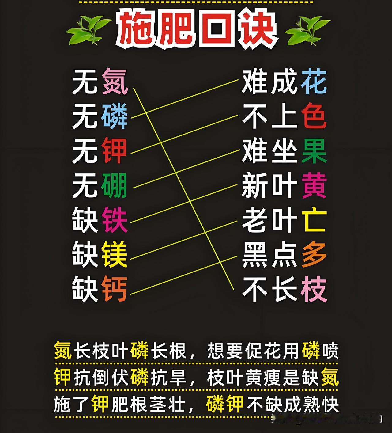 别再盲目施肥了！这套口诀，让你轻松当种菜能手～

· 氮长枝叶磷长根，促花催花靠