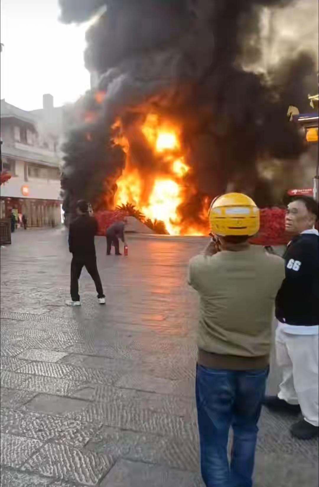 什么原因引起的？