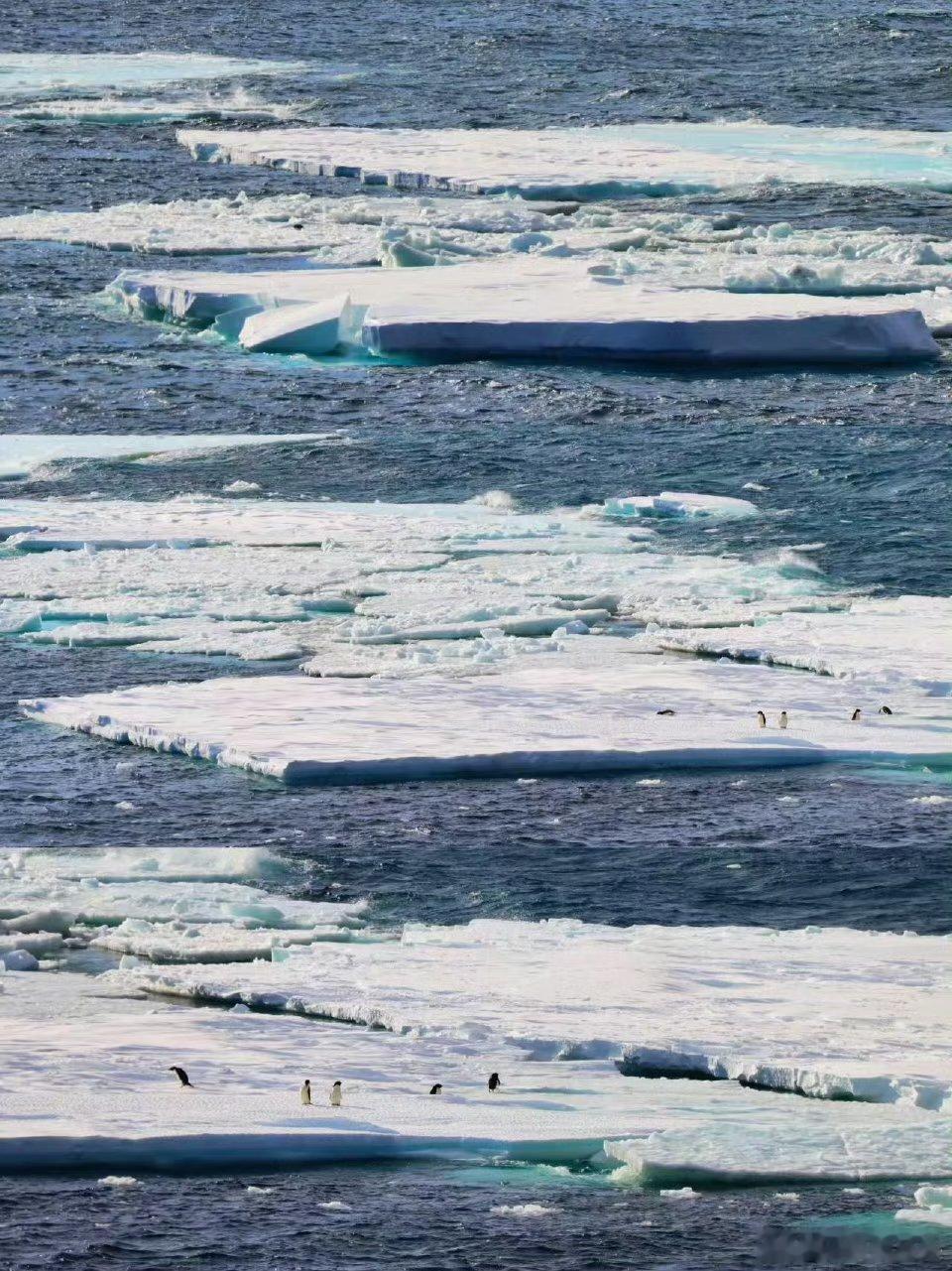 国产机械抗冻buff叠满国产挖掘机零下40摄氏度一秒启动钢铁巨臂在狂风里稳如老狗