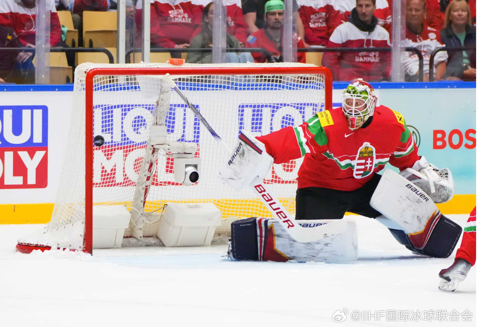 IIHF说明书 🇭🇺门将 本采·鲍利日出生于1990年5月30日，身高1米9