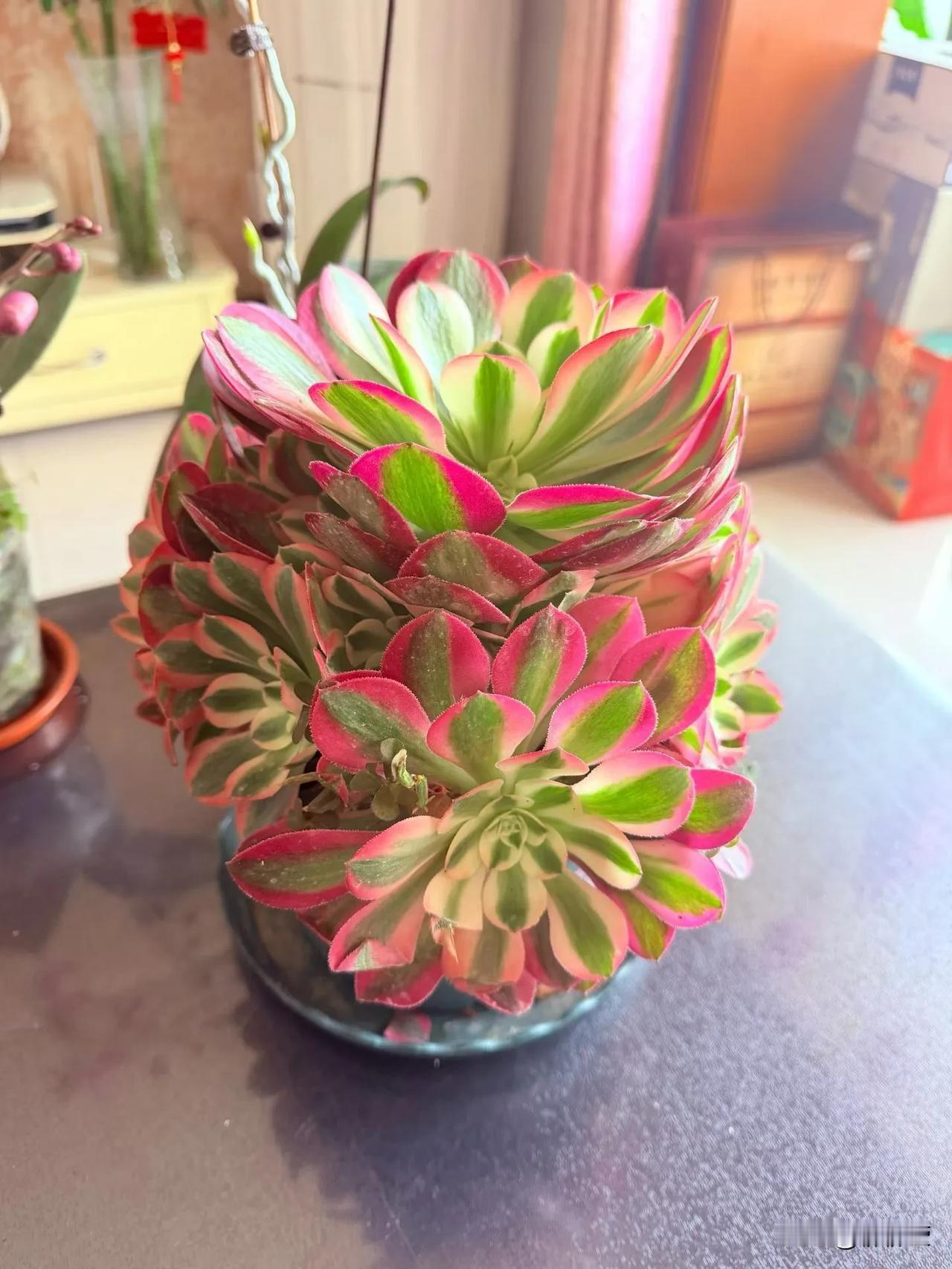 得流量者得天下，
人多的地方
才是钱多的地方。
请你告诉我
哪里流量大？
哪里人