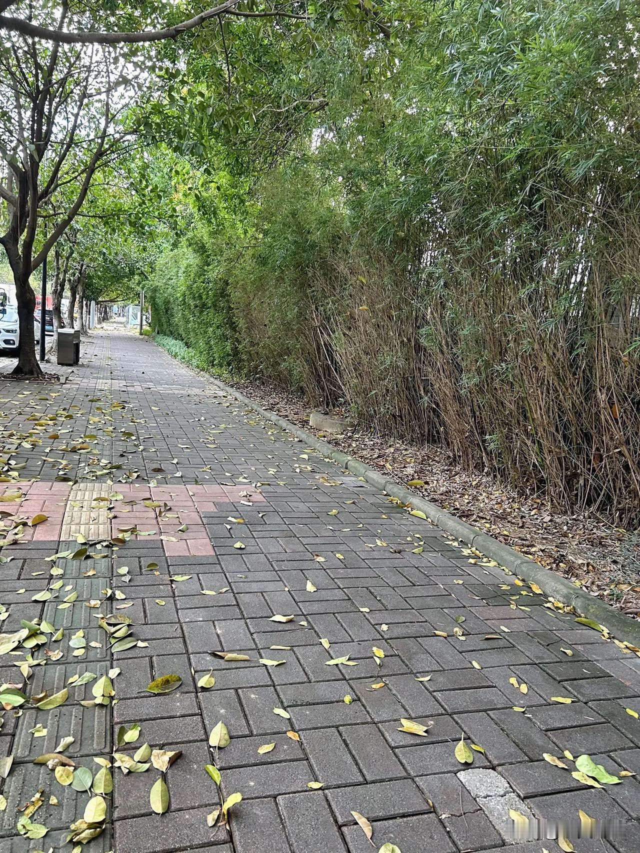 #上联：小暑至，柳荫长#
上联：小暑至，柳荫长，
下联：秋风起，塞草衰。