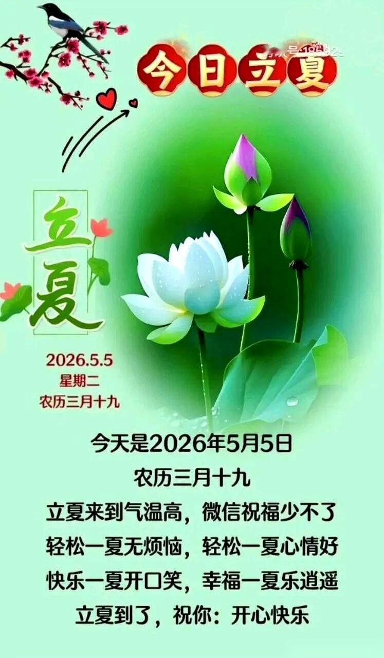 朋友圈又被这股“立夏风”吹得满屏皆诗。
看着那满屏的“鹏展翼”、“破苍芒”、“不