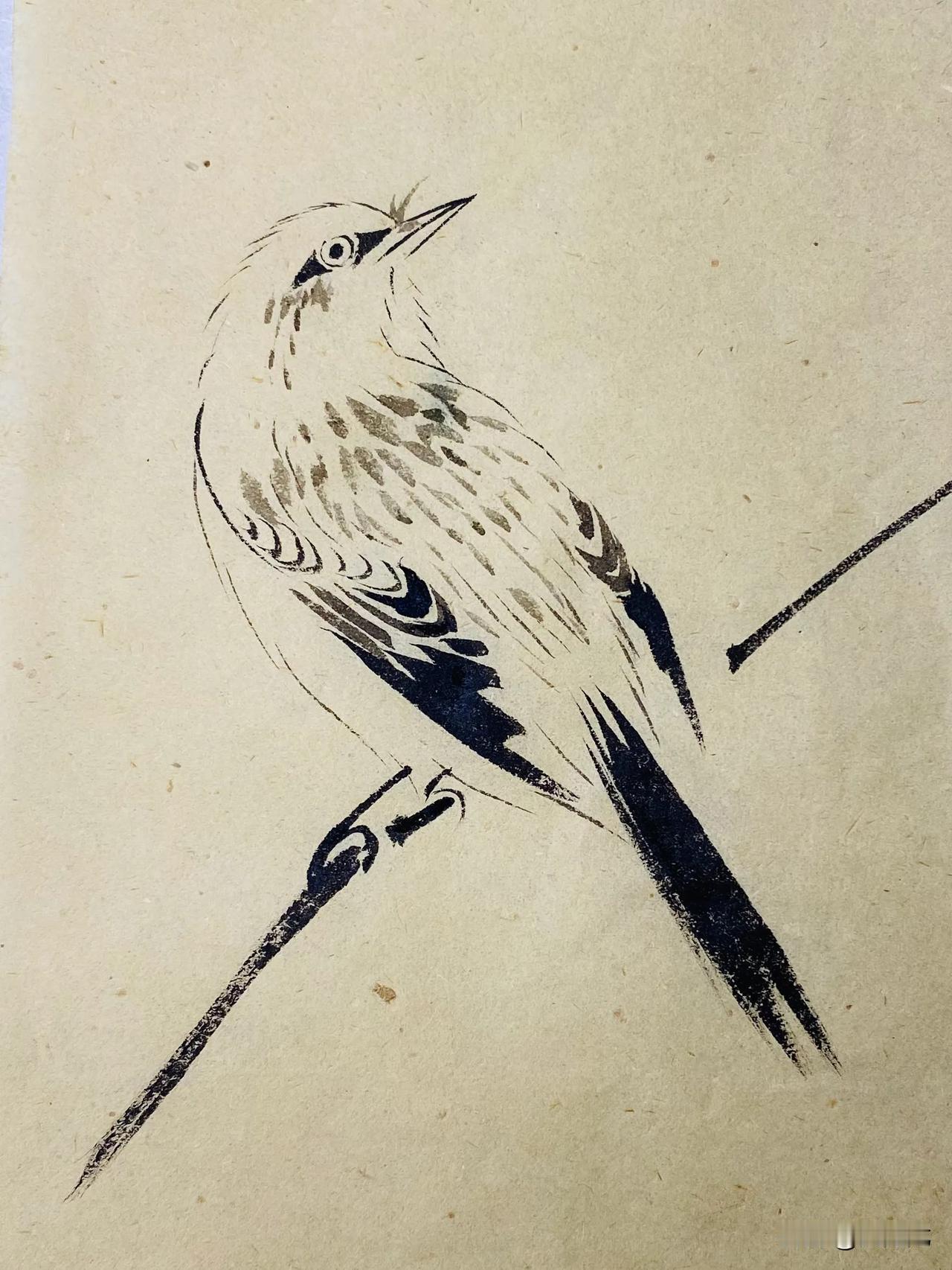 国画写意白描画小鸟小写意花鸟作品 国画花鸟！