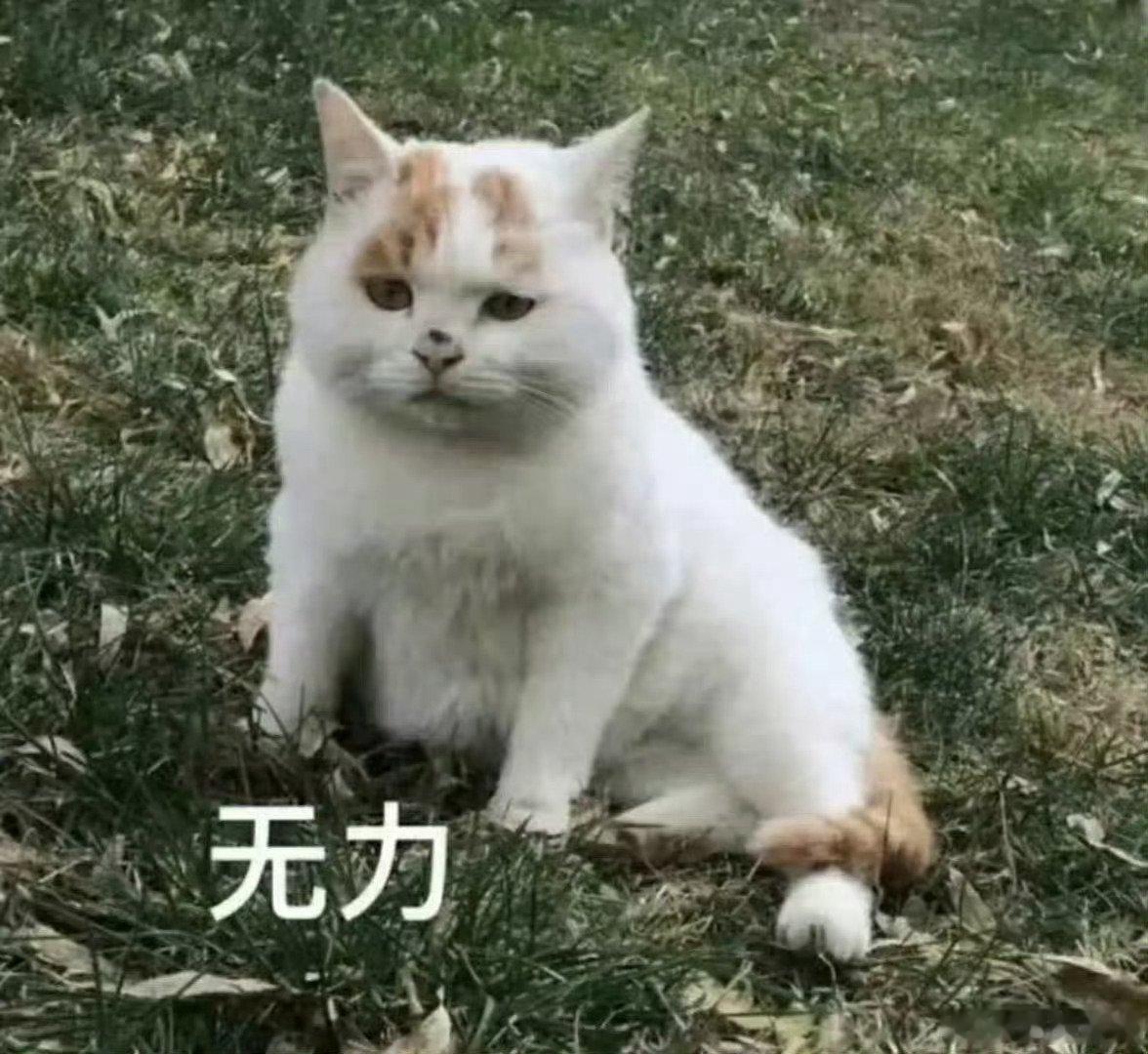难听能上热搜不