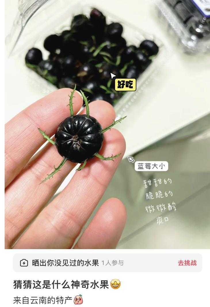【这种“异世界魔法果实”居然能吃？】最近一种少见的水果悄然上市，颜色和大小像蓝莓
