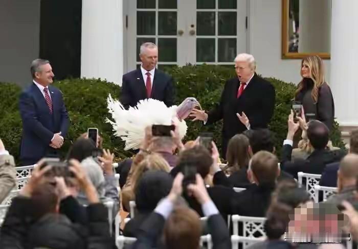 特朗普借赦免火鸡之机，调侃拜登、舒默、佩洛西。今年感恩节夕，特朗普按照白宫传统，