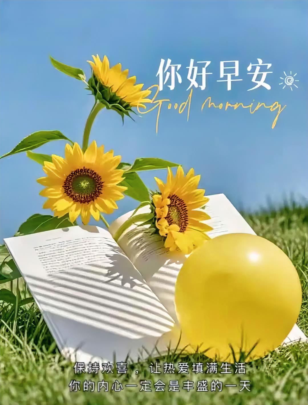 新周快乐，岁月如歌，愿你笑容灿烂如花。
今日打卡早安心语 
每日晨光金句打卡 