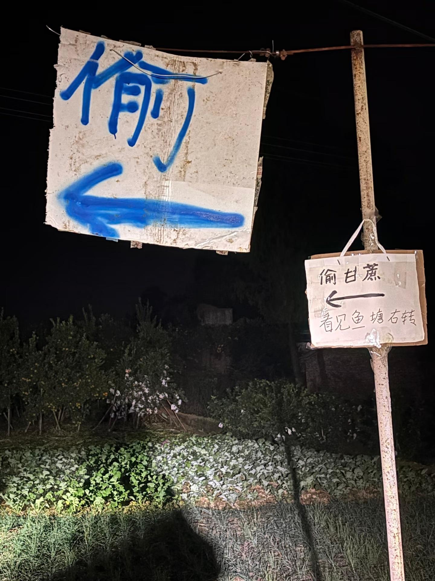 我就说AI代替不了人类吧，偷甘蔗火是因为可以占便宜，实际上老板是挣不到钱的，又没