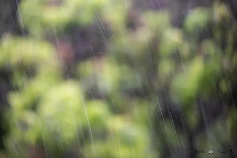 秋日生活打卡季 今年雨水格外充沛，北方小城许久未曾在秋日邂逅这般连日降雨的时光。