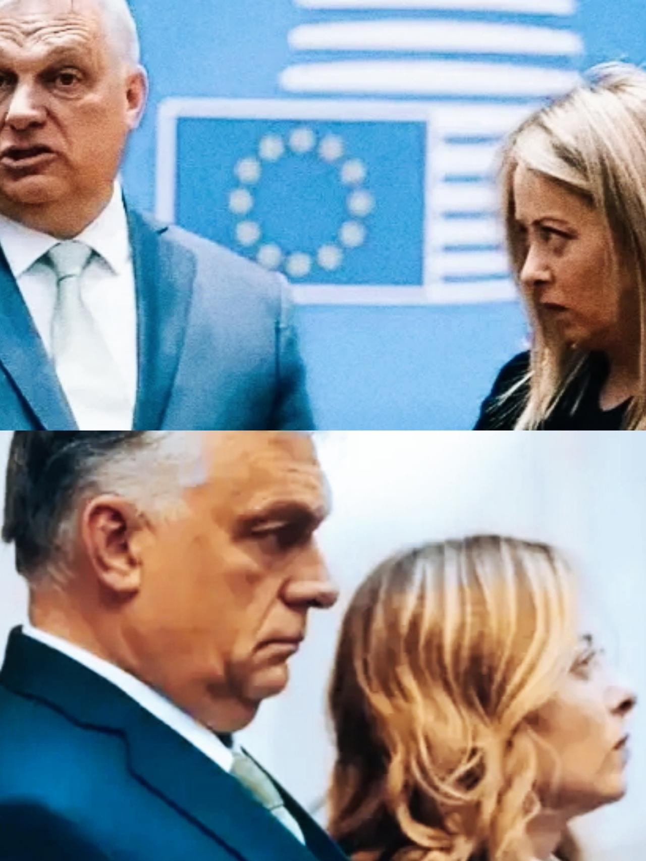 欧尔班和梅洛尼这面部表情代表两人是什么样的心情呢？
欧尔班和梅洛尼的面部表情传递